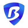 BitBrowser is the leading anti-detect browser